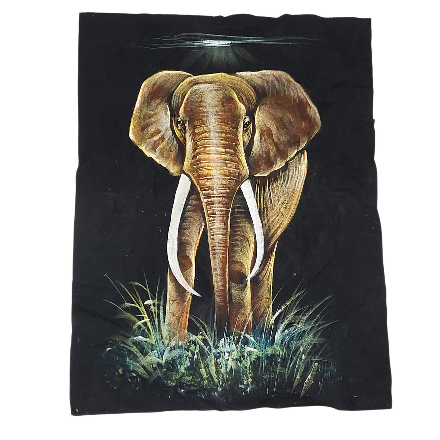 70X50 ציור פיל על בד ס"מ