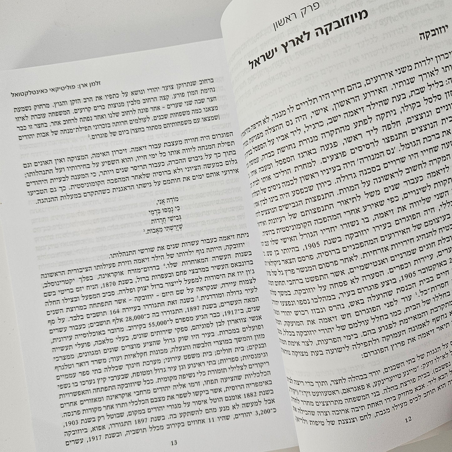 זלמן ארן פוליטיקאי כאינטלקטואל - יצחק גרינברג