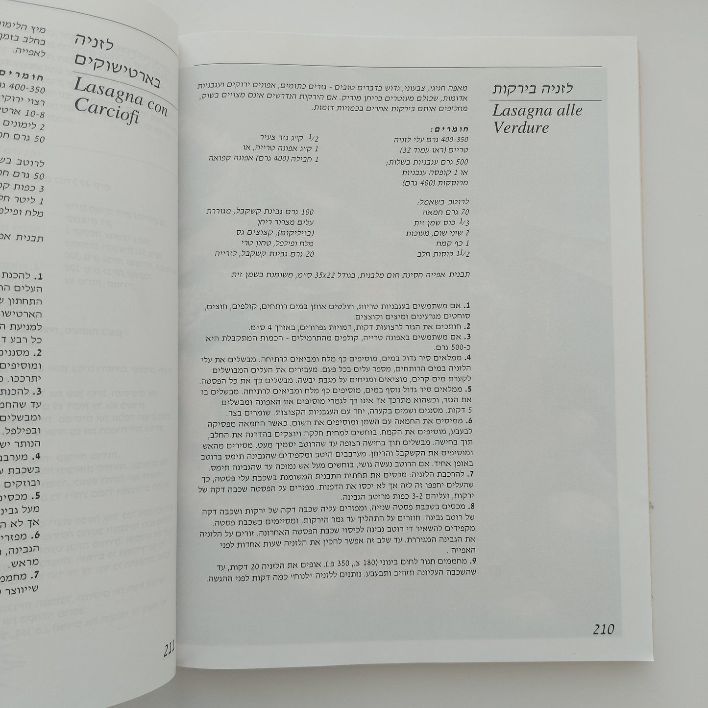 ספר הפסטה הגדול- בת' אילון
