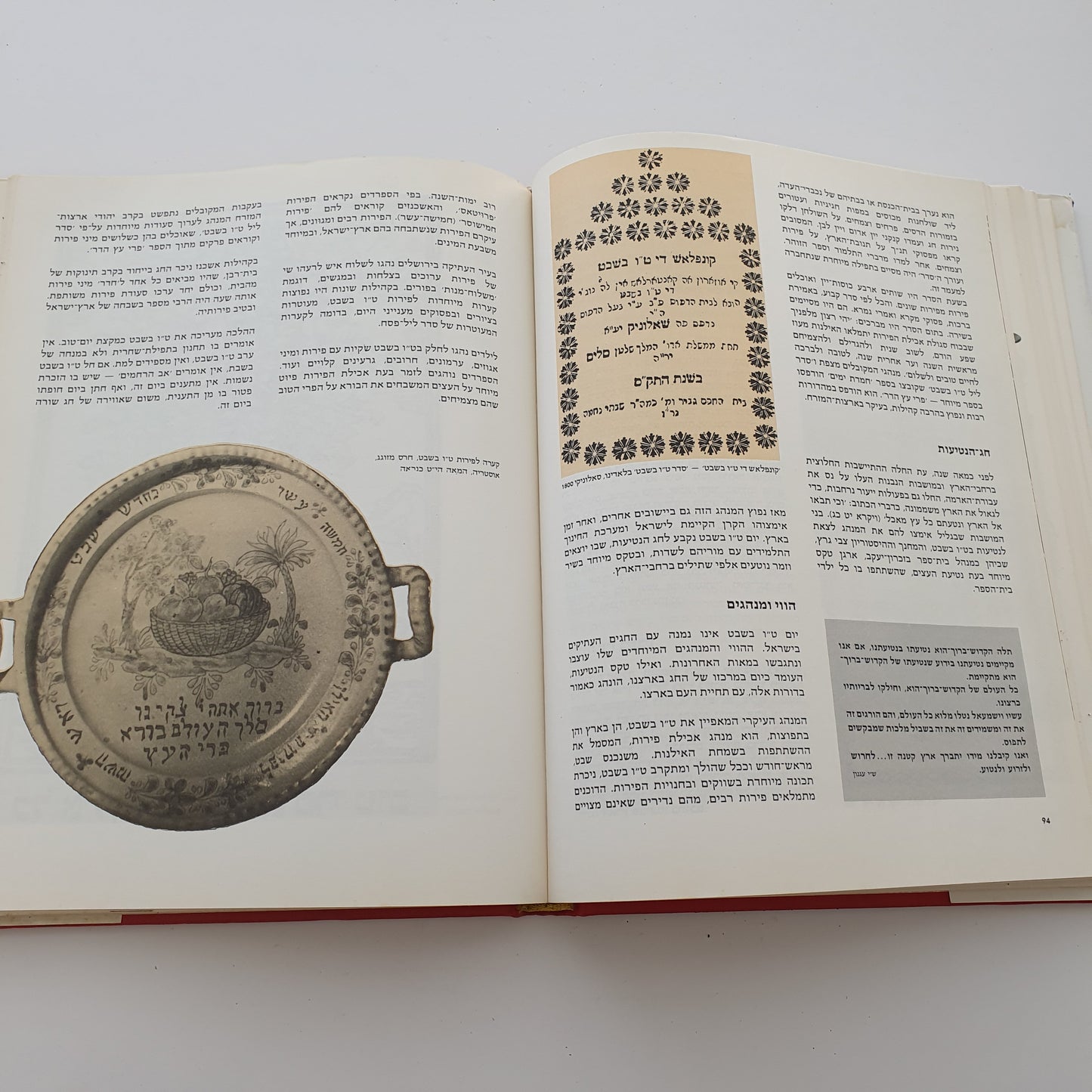 חגים ומועדים- חנוכה ט"ו בשבט פורים