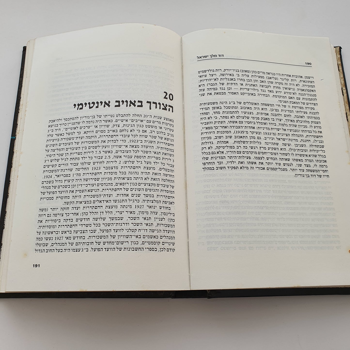 דוד מלך ישראל- אבנר פלק