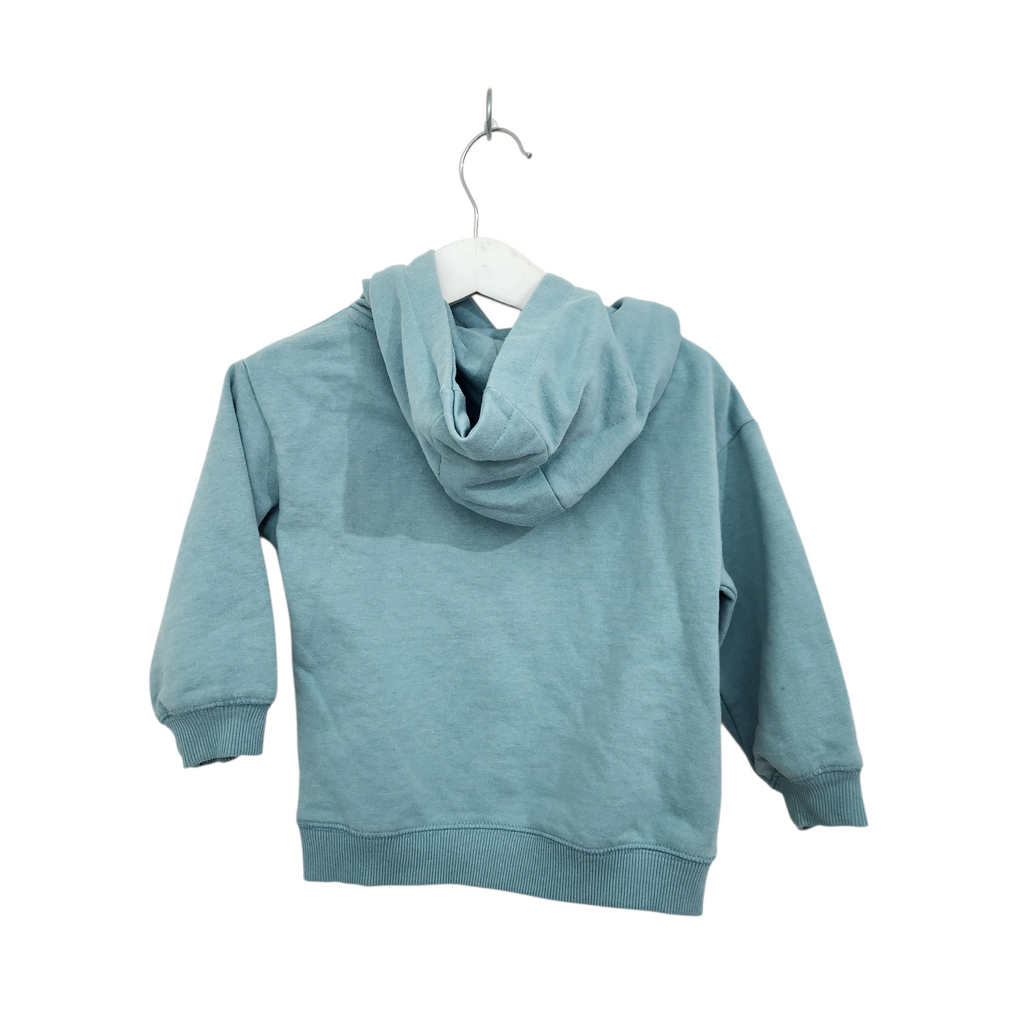 קפוצ'ון דינוזאורים | לילדים גיל 2