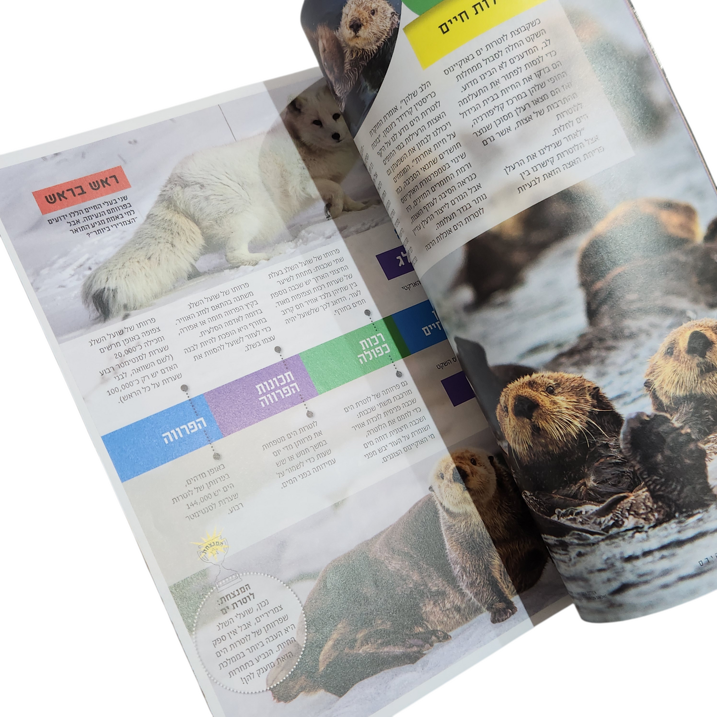 NATIONAL GEOGRAPHIC KIDS | אוגוסט 2019