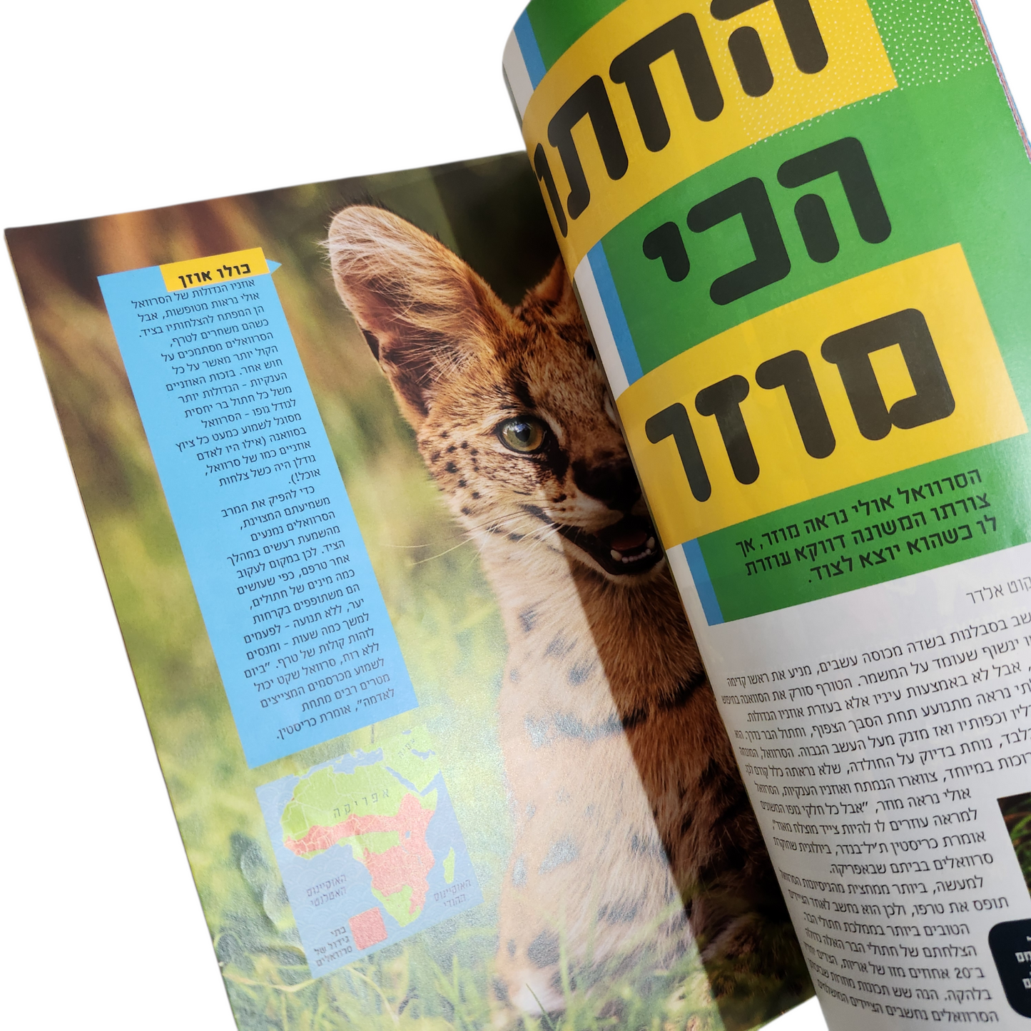 NATIONAL GEOGRAPHIC KIDS | ספטמבר 2019