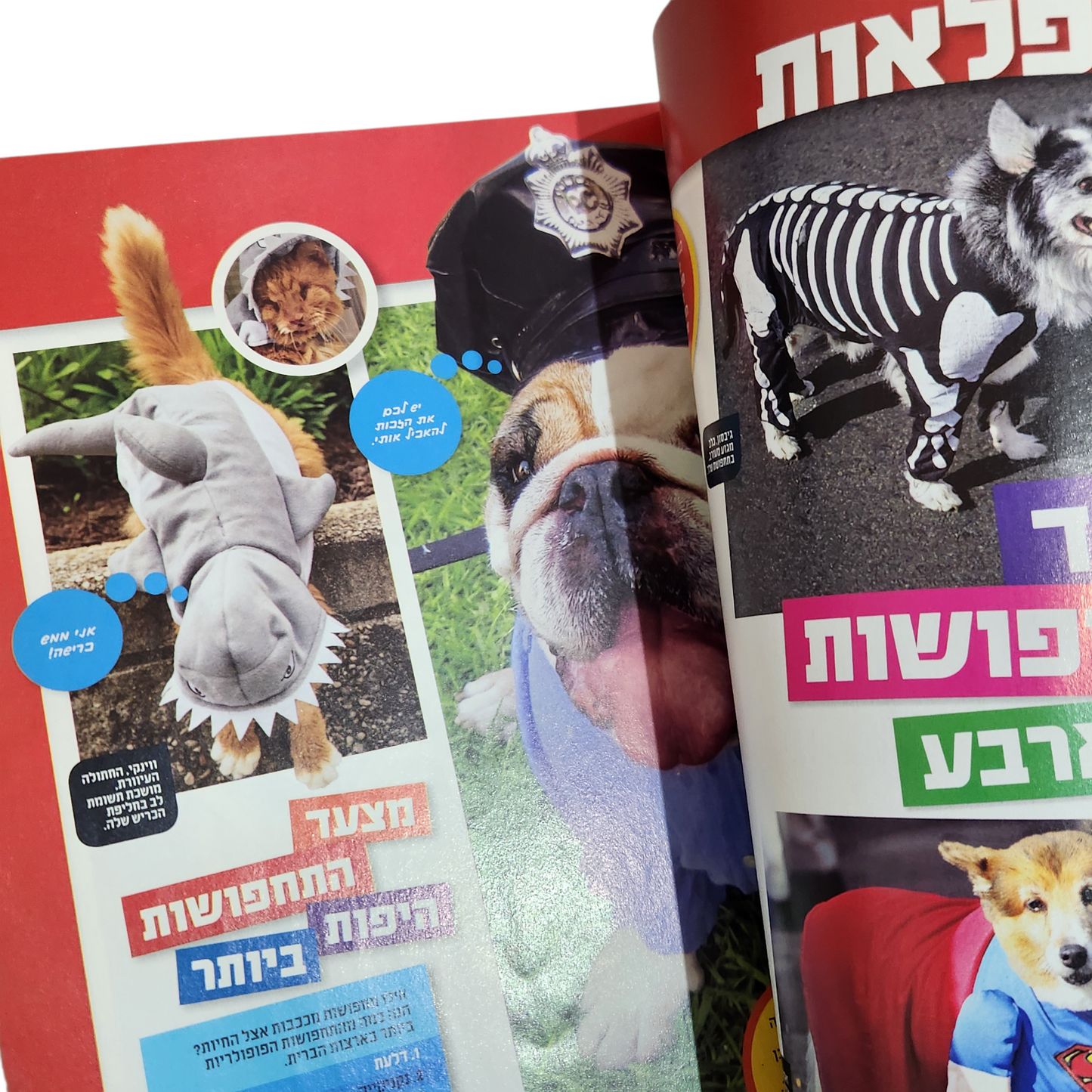 NATIONAL GEOGRAPHIC KIDS | מרץ 2019