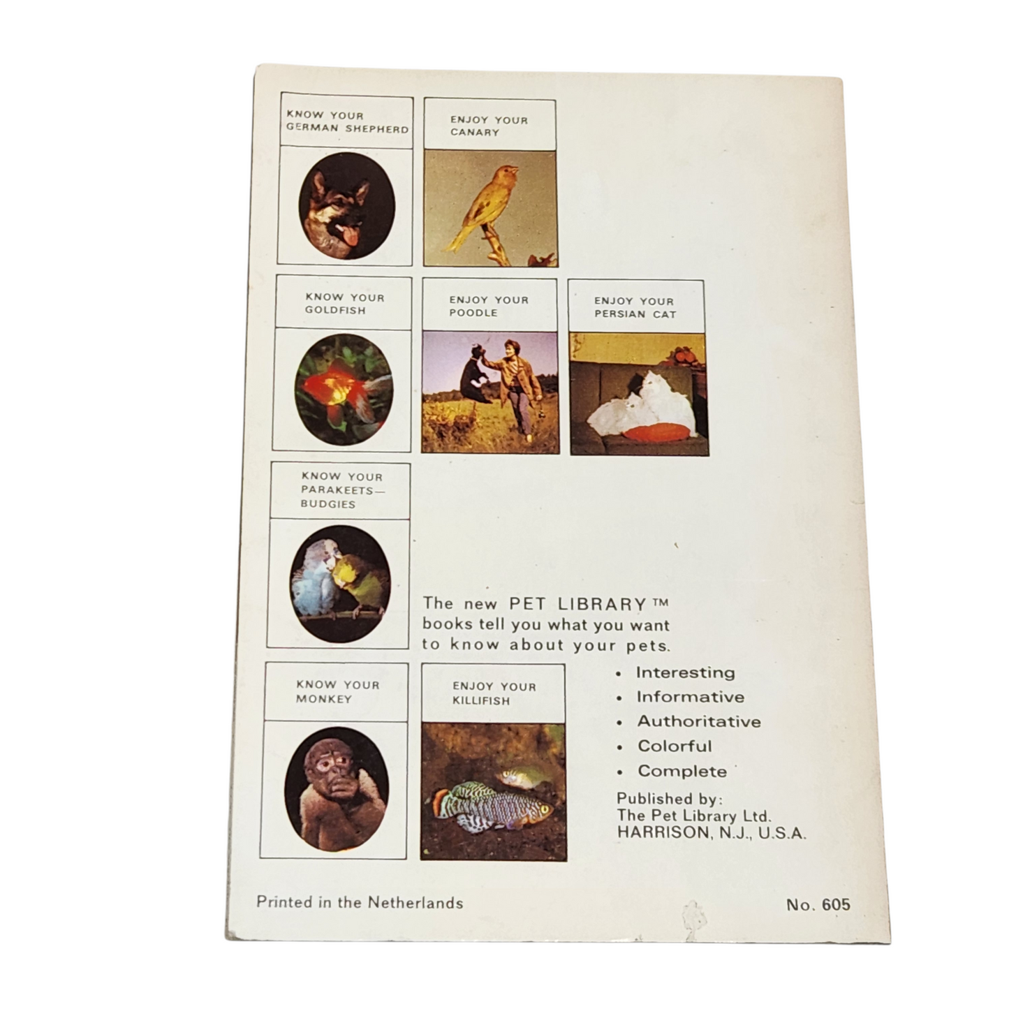 Know Your Siamese Cat