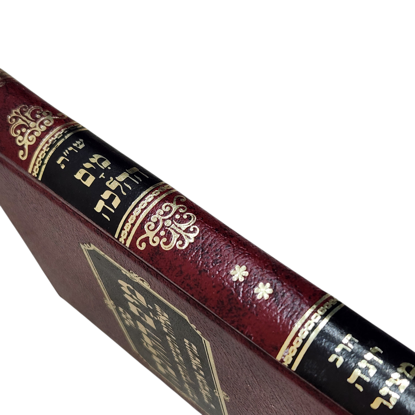 תנ"ך – בראשית + שמות