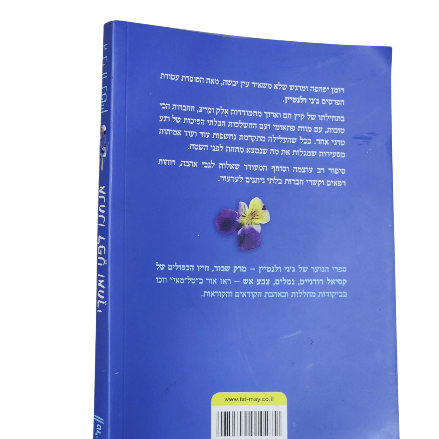 אנחנו לפני ואחרי - ג'וני ולנטיין