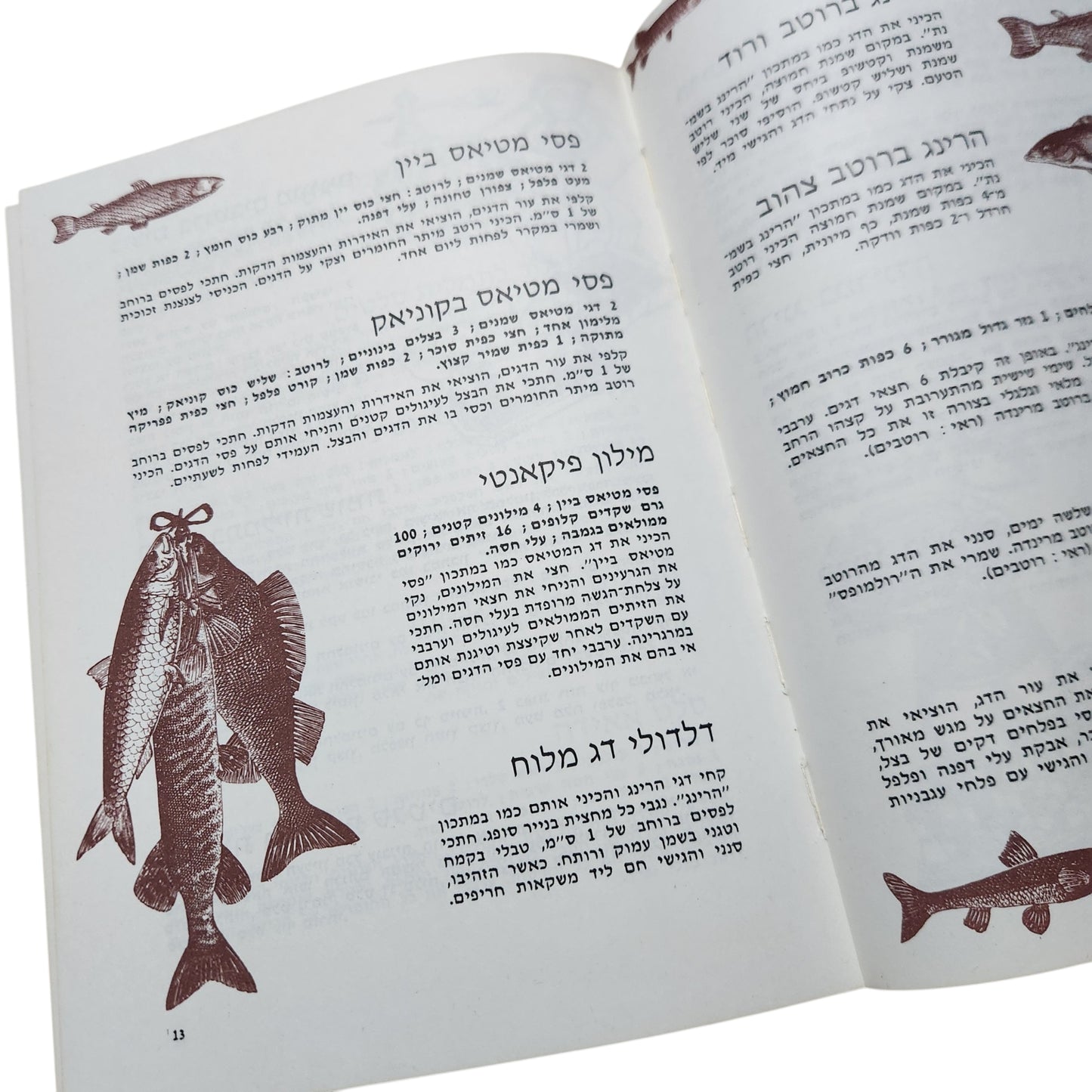 ספר הבישול כשר | מתכונים לאירוח, מאפים, עוגות, קינוחים ומשקאות