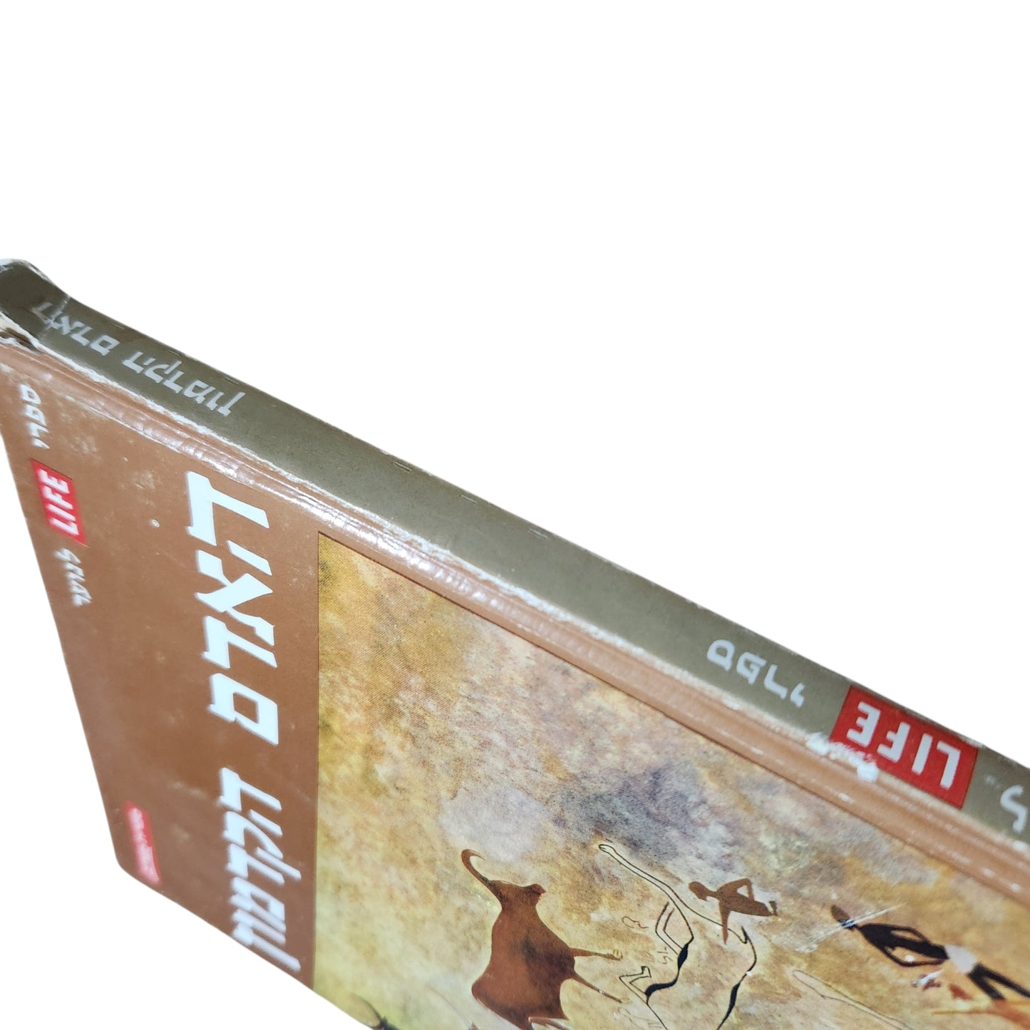 האדם הקדמון | ספר LIFE לנוער | סדרת מעורב | 1972