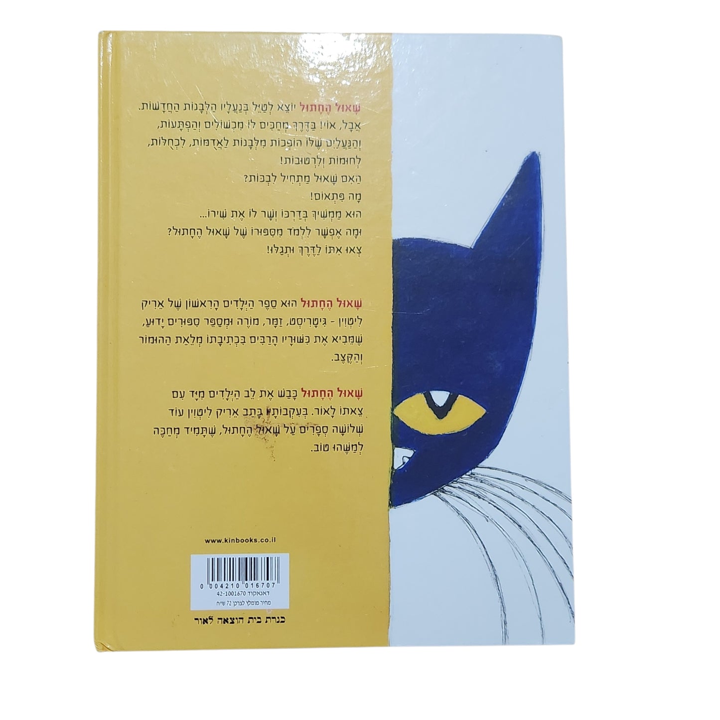 שאול החתול – אני אוהב לצעוד בנעליים לבנות | אריק ליטווין