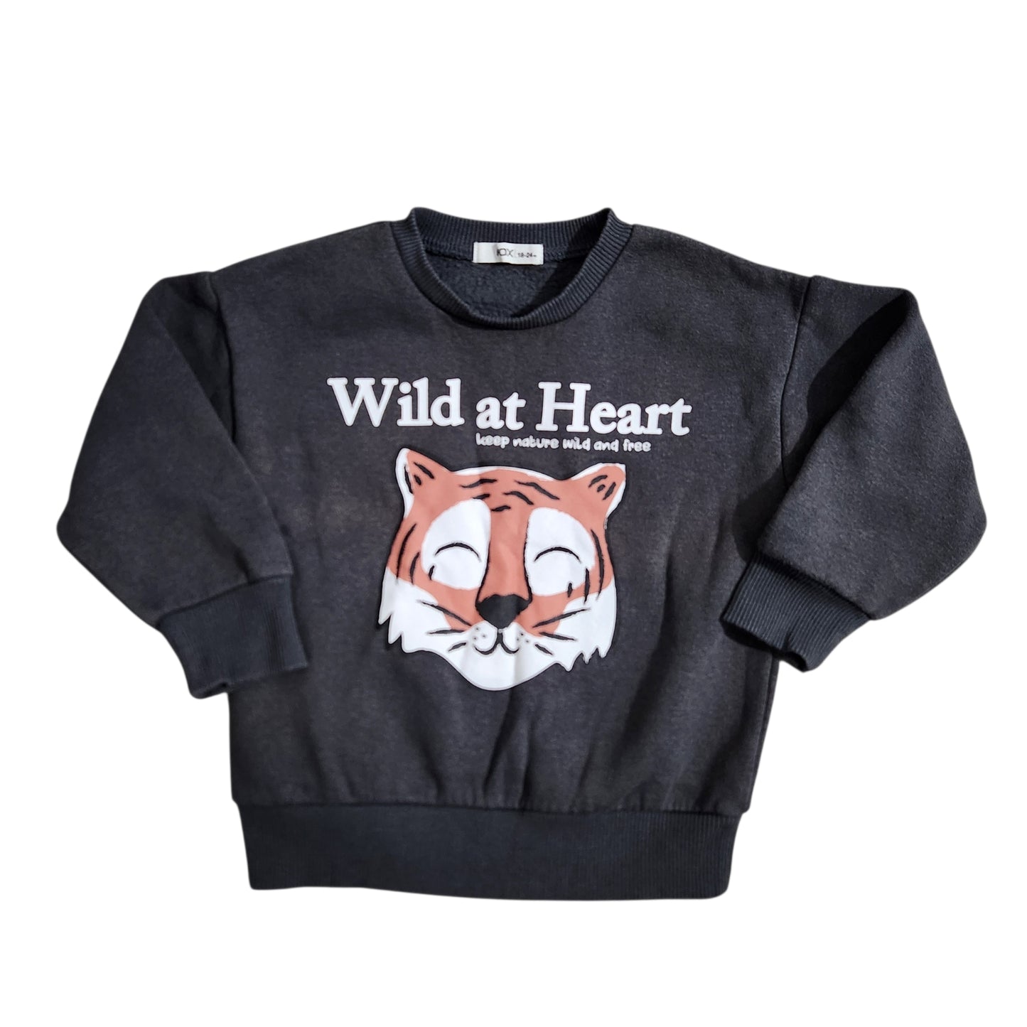 FOX | פוטר לתינוקות גיל 18-24 חודשים