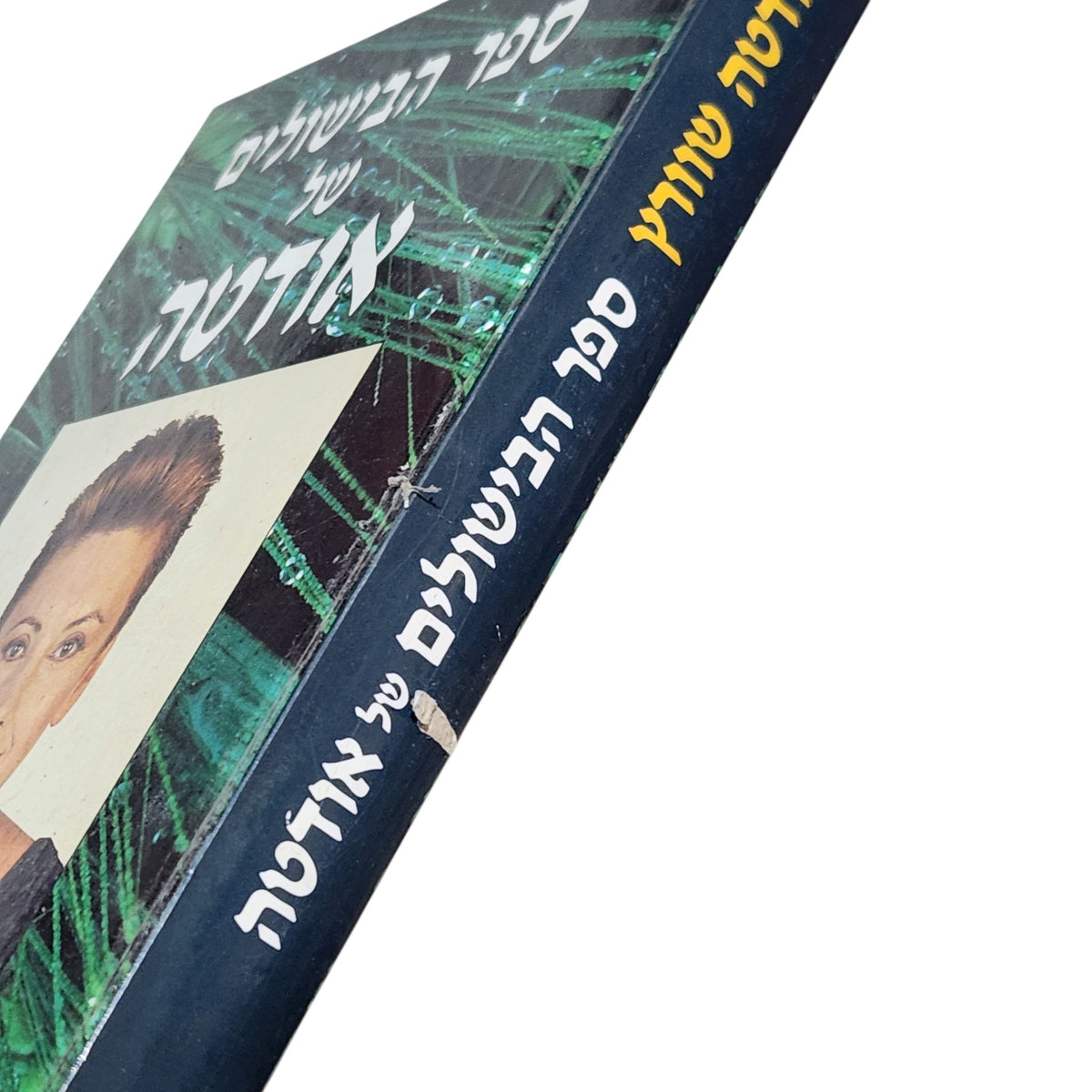 ספר הבישולים של אודטה | אודטה שוורץ | ספר בישול וינטג'