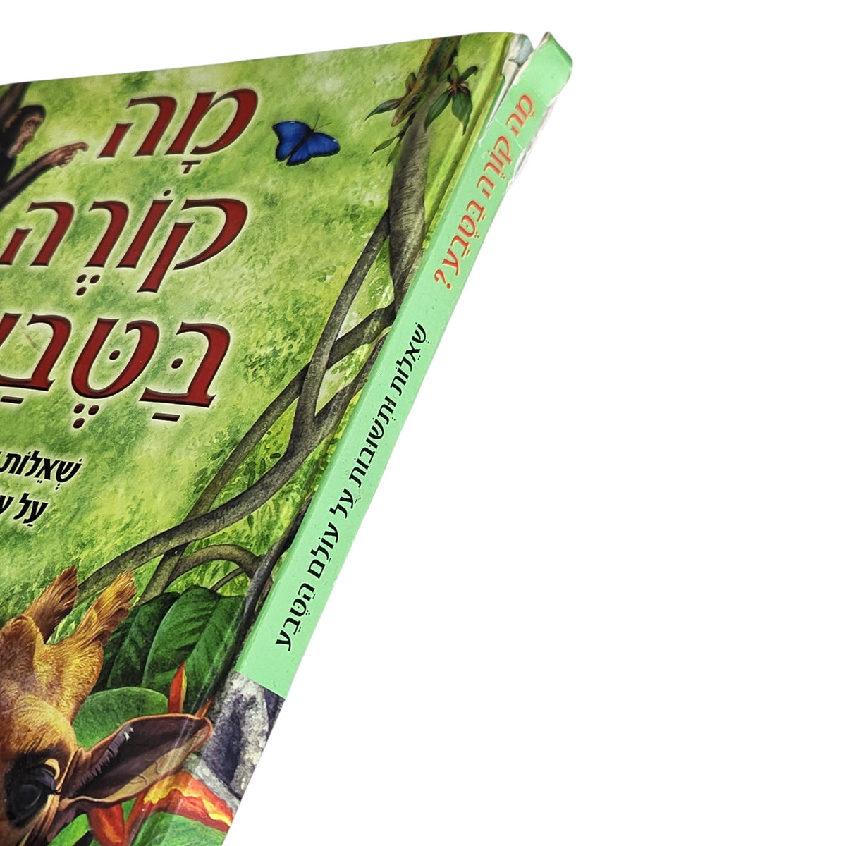 מה קורה בטבע? | שאלות ותשובות על עולם הטבע | 2006