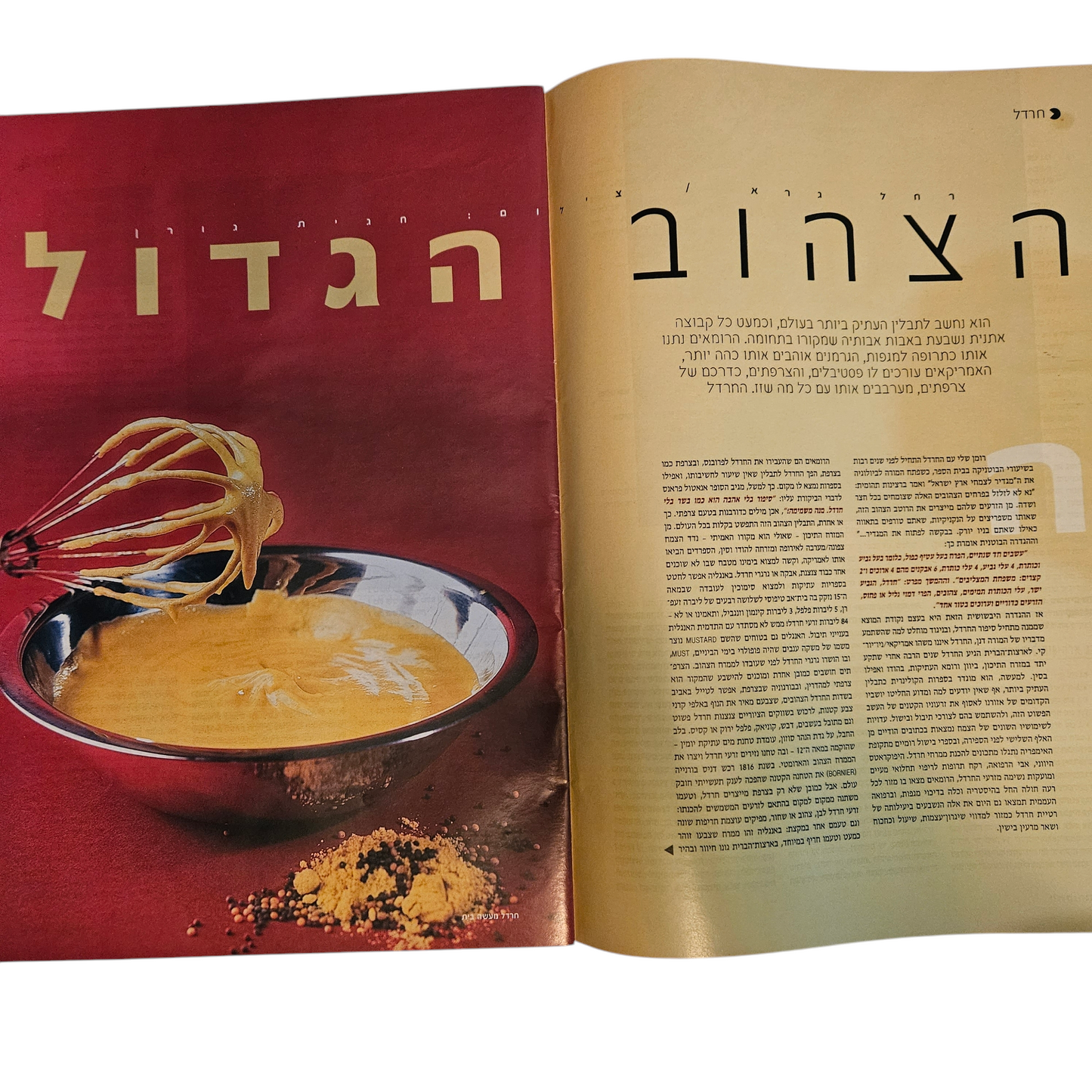את - גורמה - גיליון 152 ינואר 2002