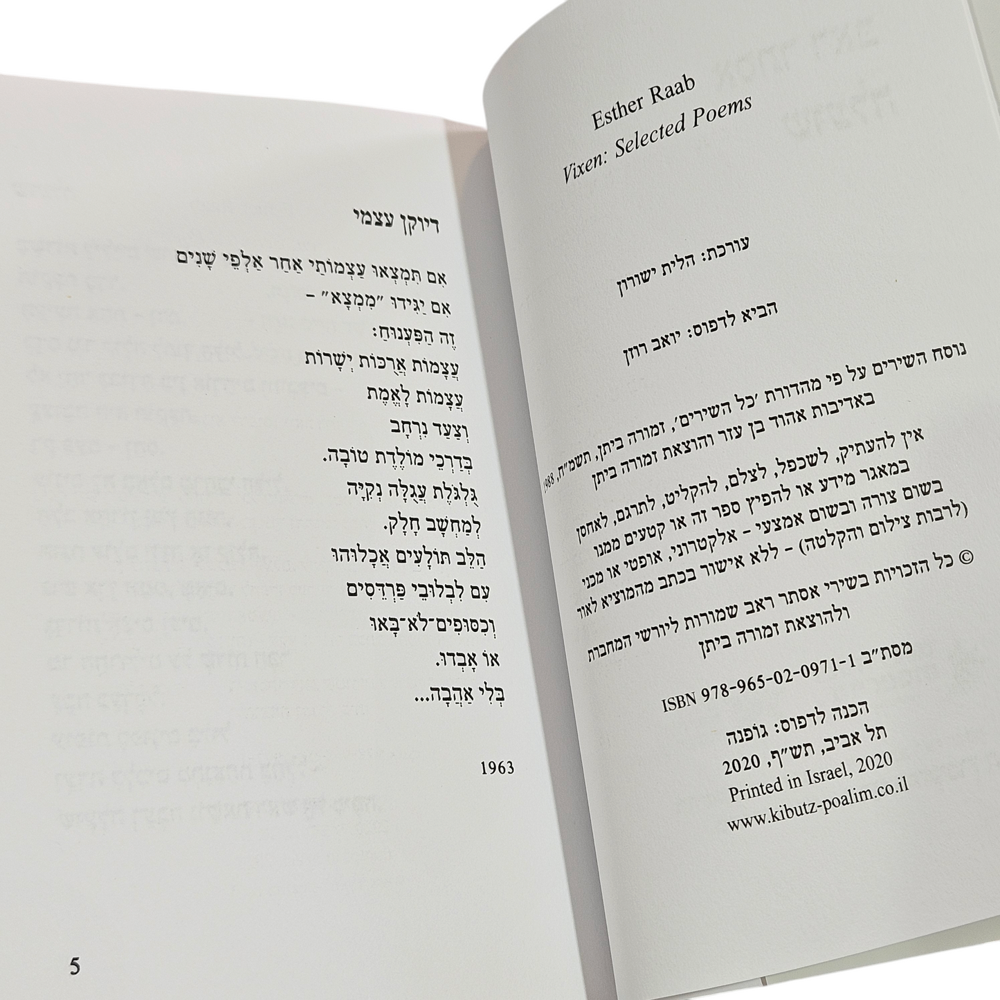 אסתר ראב - שועלה 2020