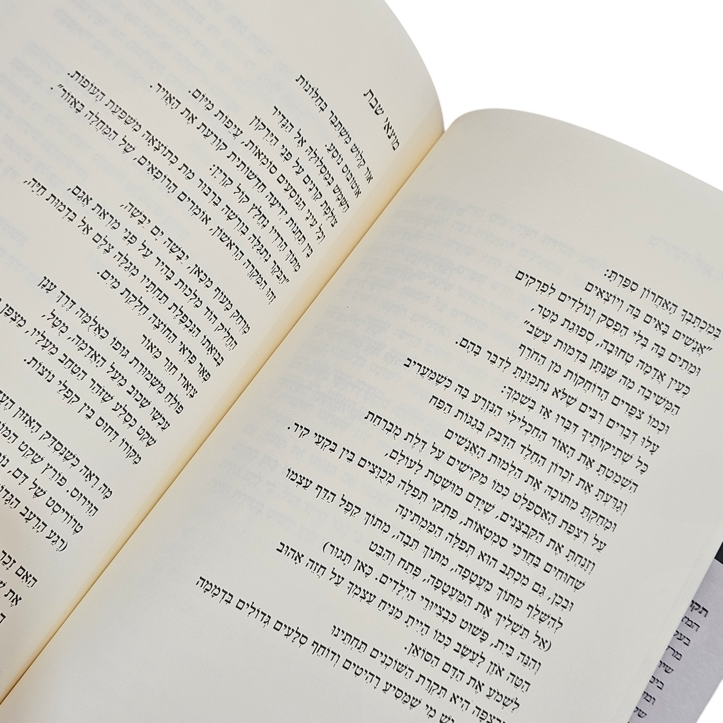 תקרת האדמה - נדב ליניאל