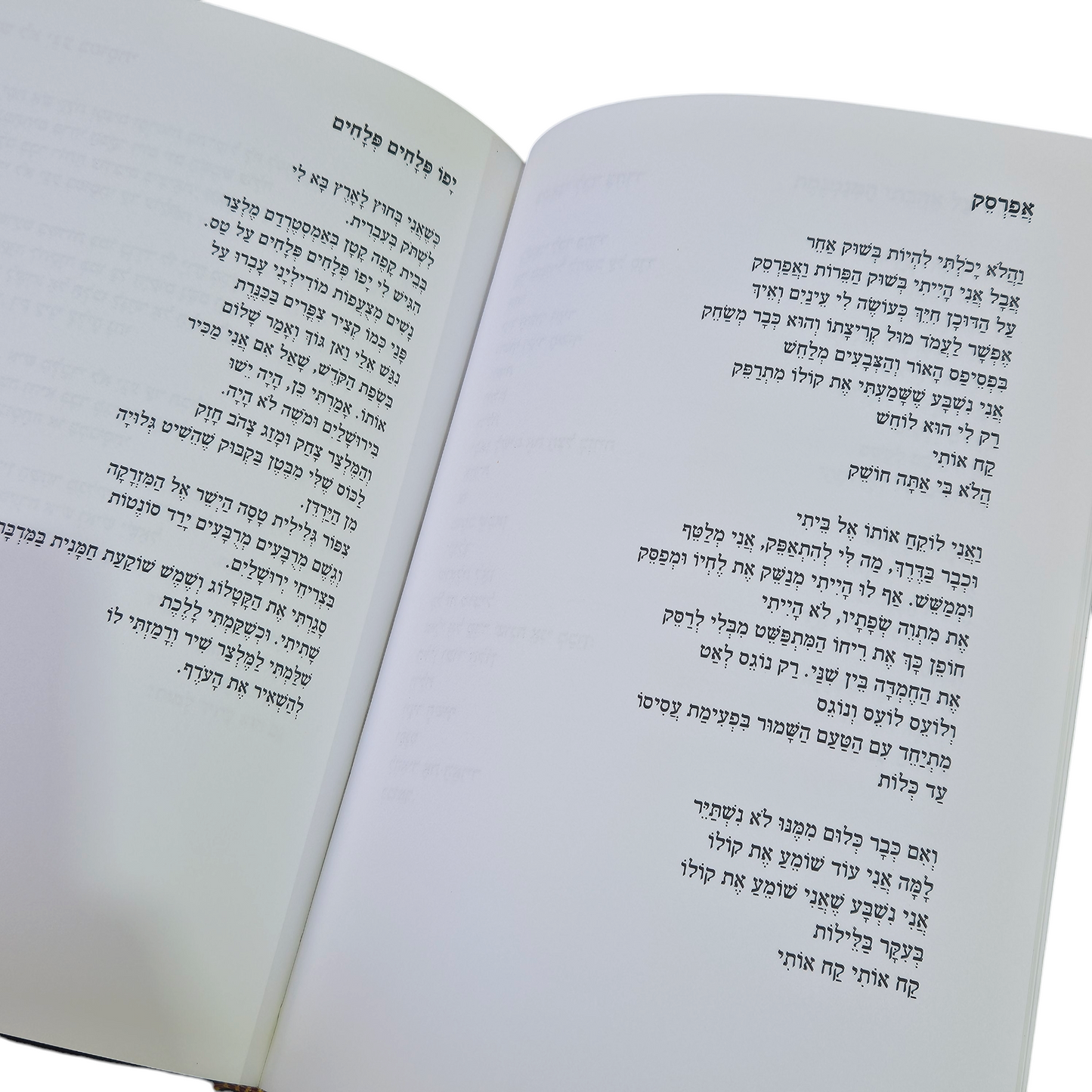 כרטיס ביקור - מבחר שירים - יואב חייק