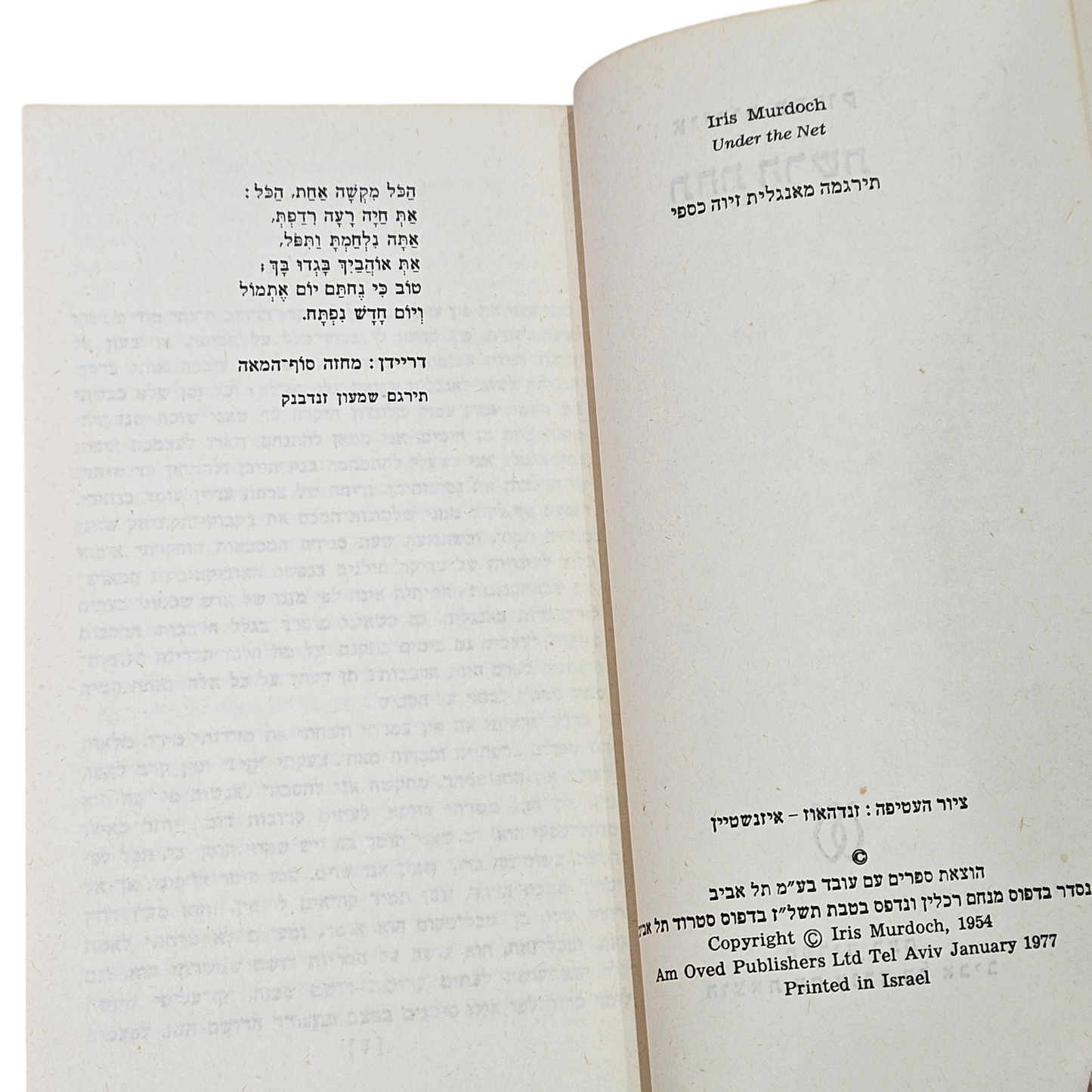 תחת הרשת - אייריס מרדוק