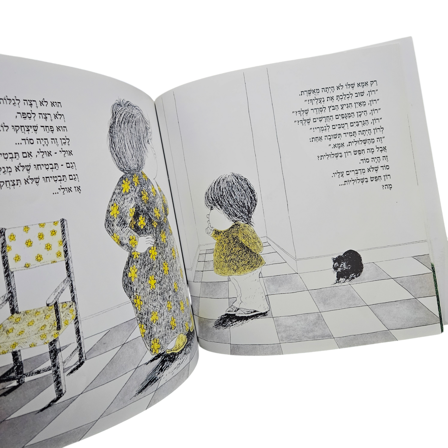 שלולי - מירה מאיר