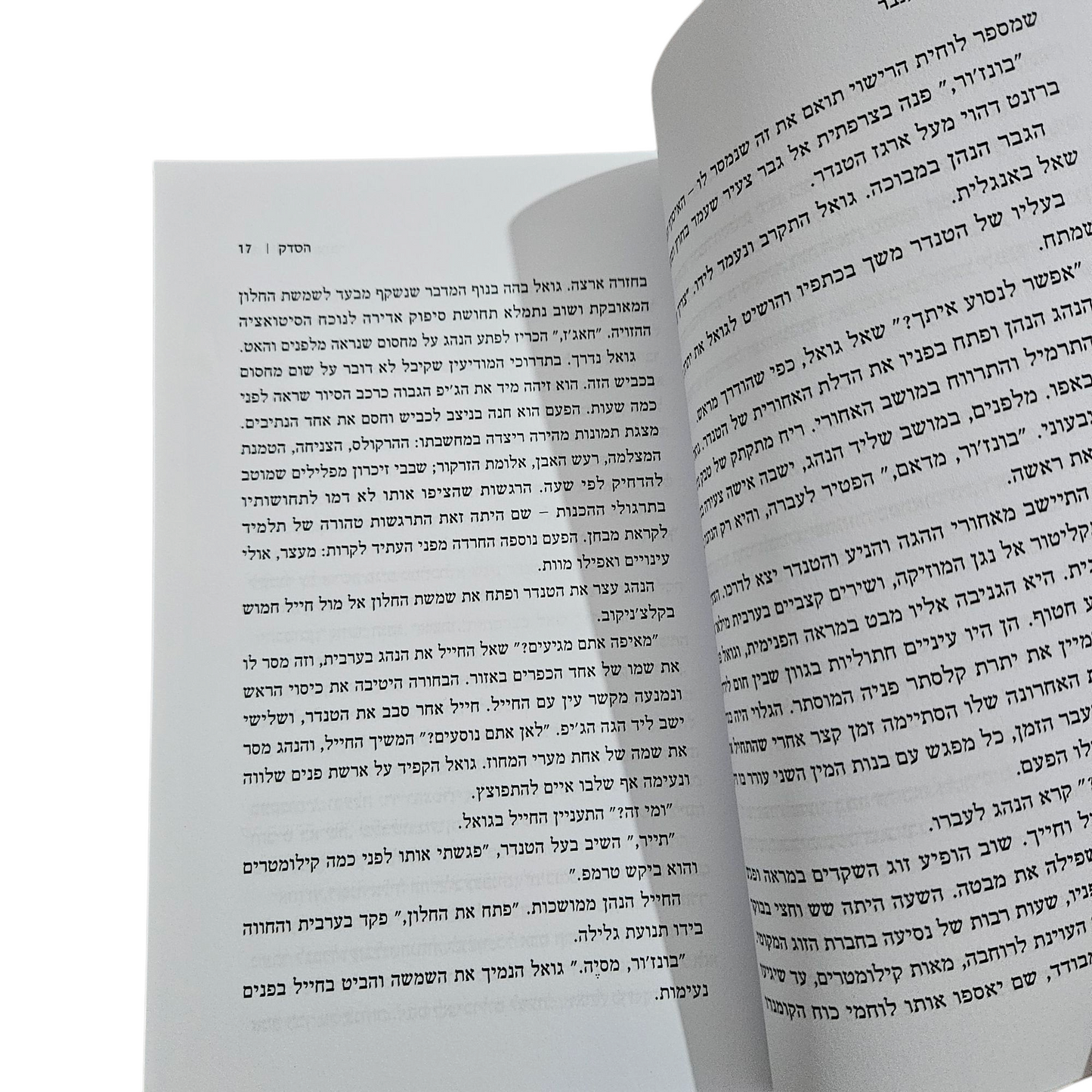 הסדק - יריב ענבר