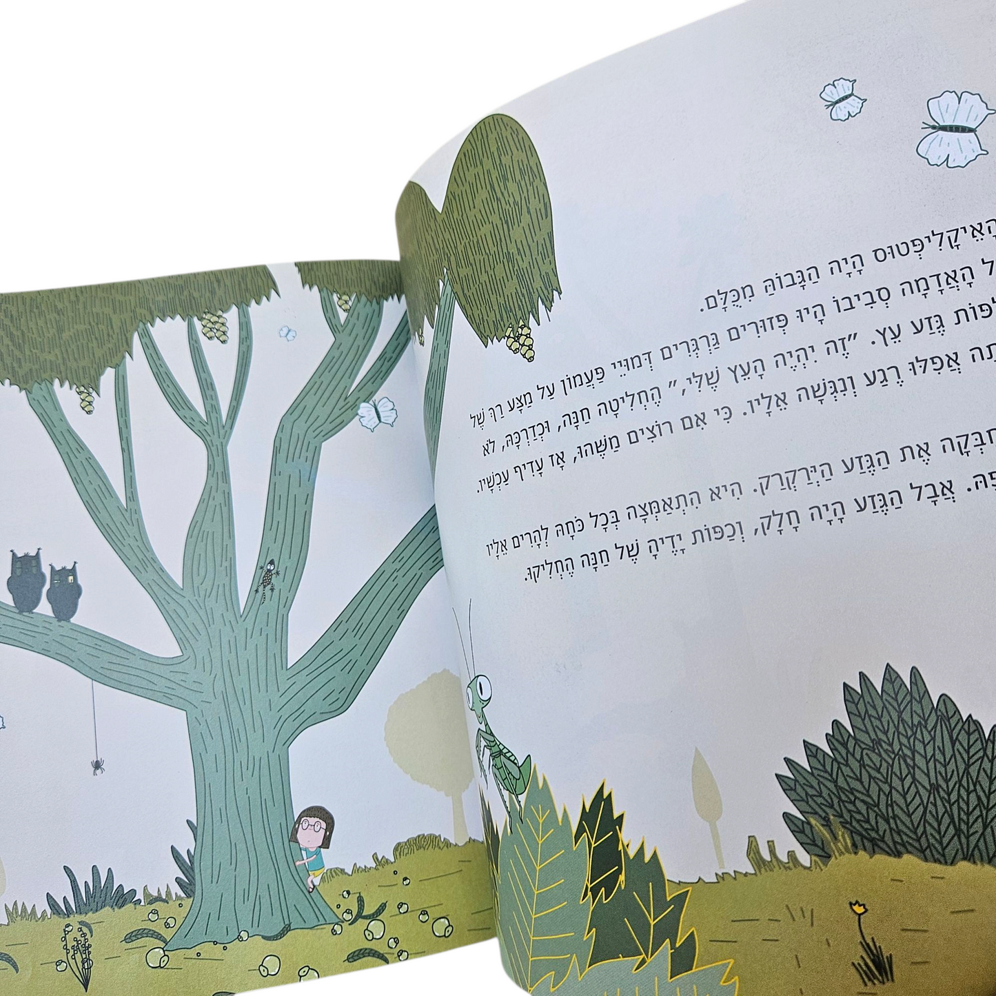 עץ אבא - גבורה בושרי