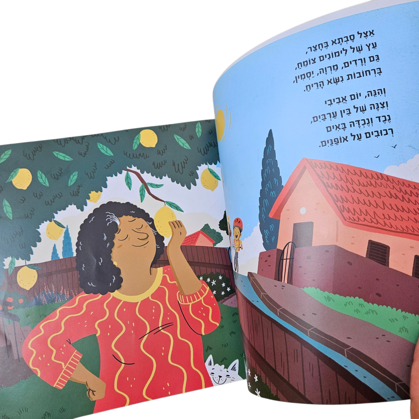 לימונדה - עדי זליכוב רלוי