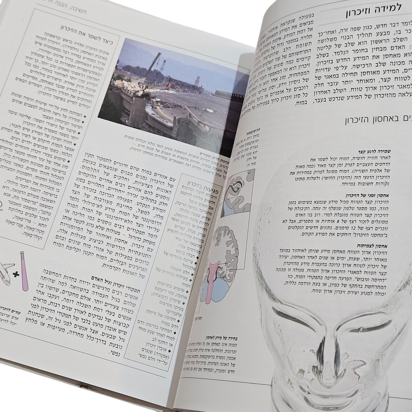 האינציקלופדיה הרפואית החדשה- המח ומערכת העצבים