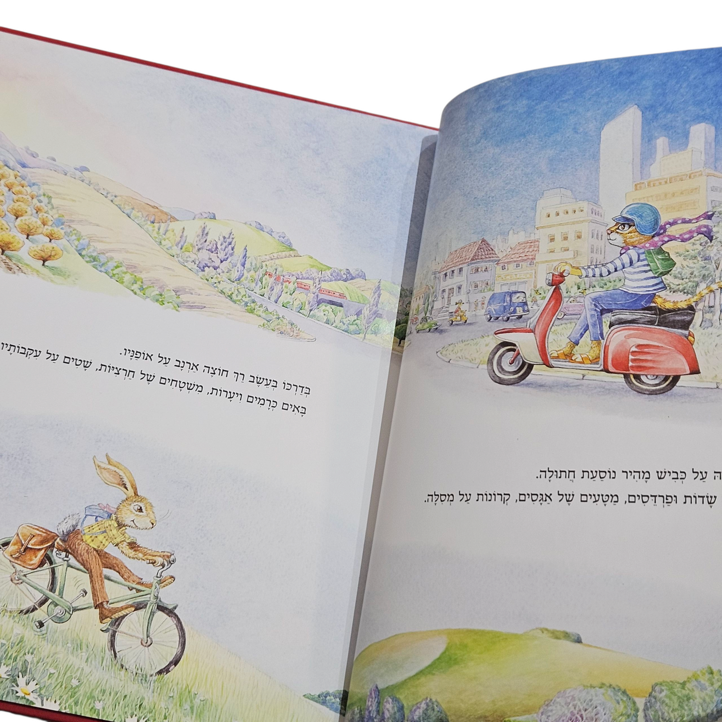 חתולה וארנבון מחליפים בתים - דורית רביניאן