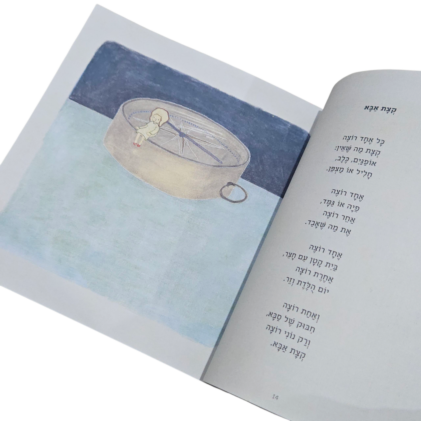 הצבע השמיני - שלומית כהן אסיף