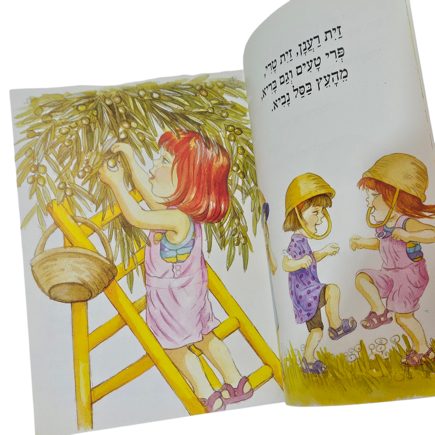 שמח במטע הזיתים - אילנה אלוף