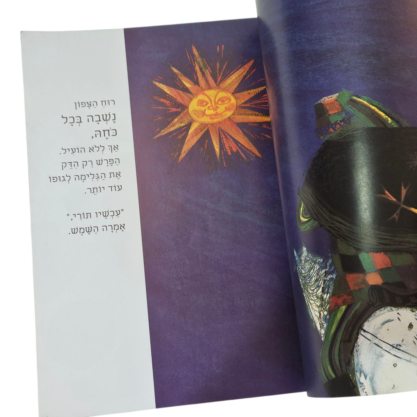 רוח הצפון והשמש - בראין וילדסמית