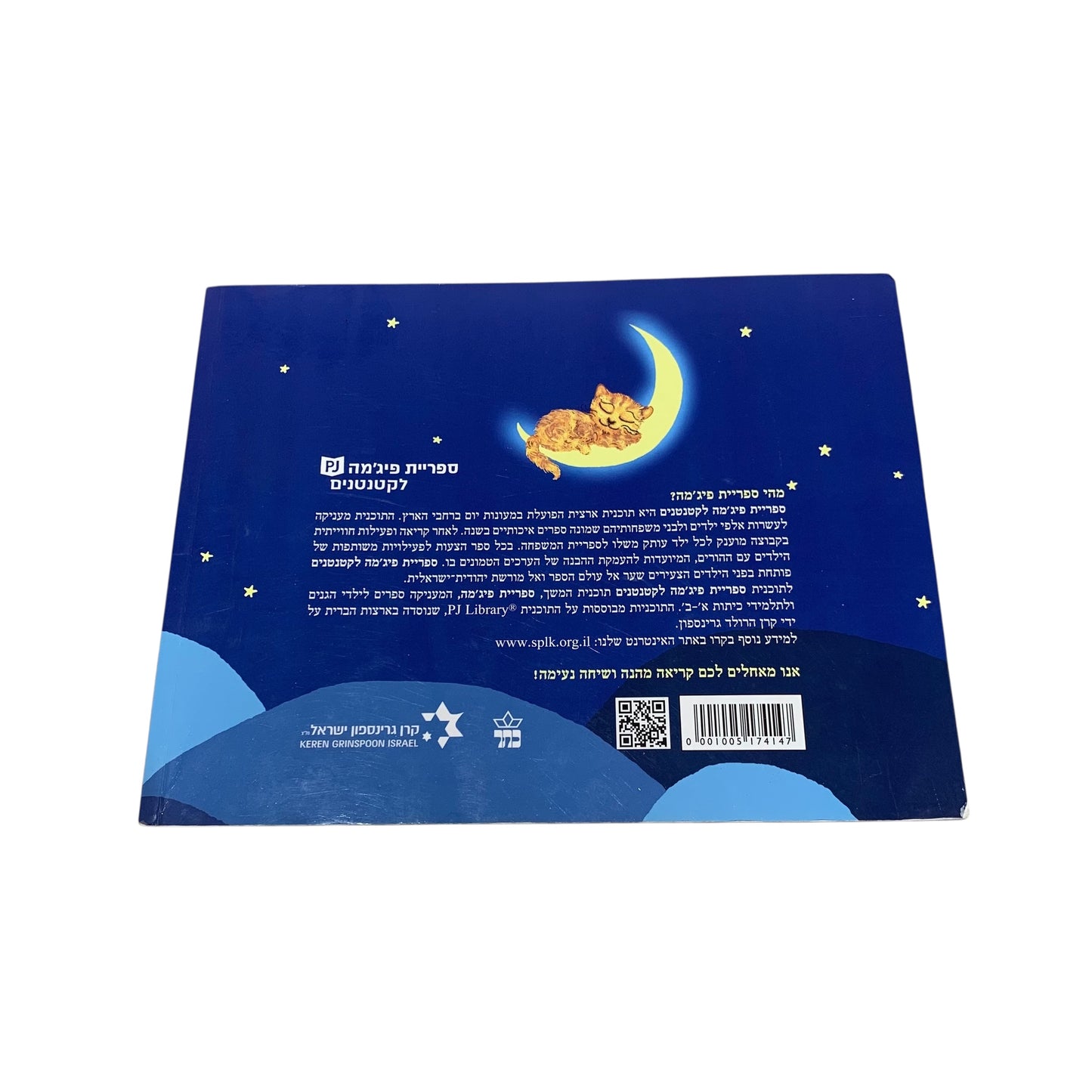 חתול גדול חתול קטן - אמי רובינגר כריכה רכה