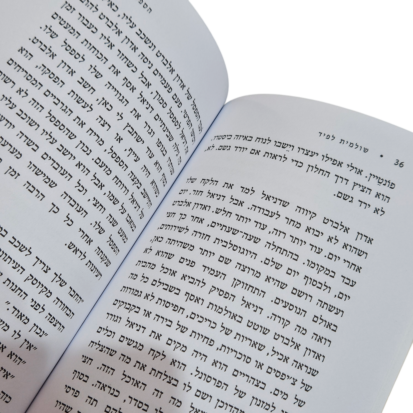 הספסל - שולמית לפיד