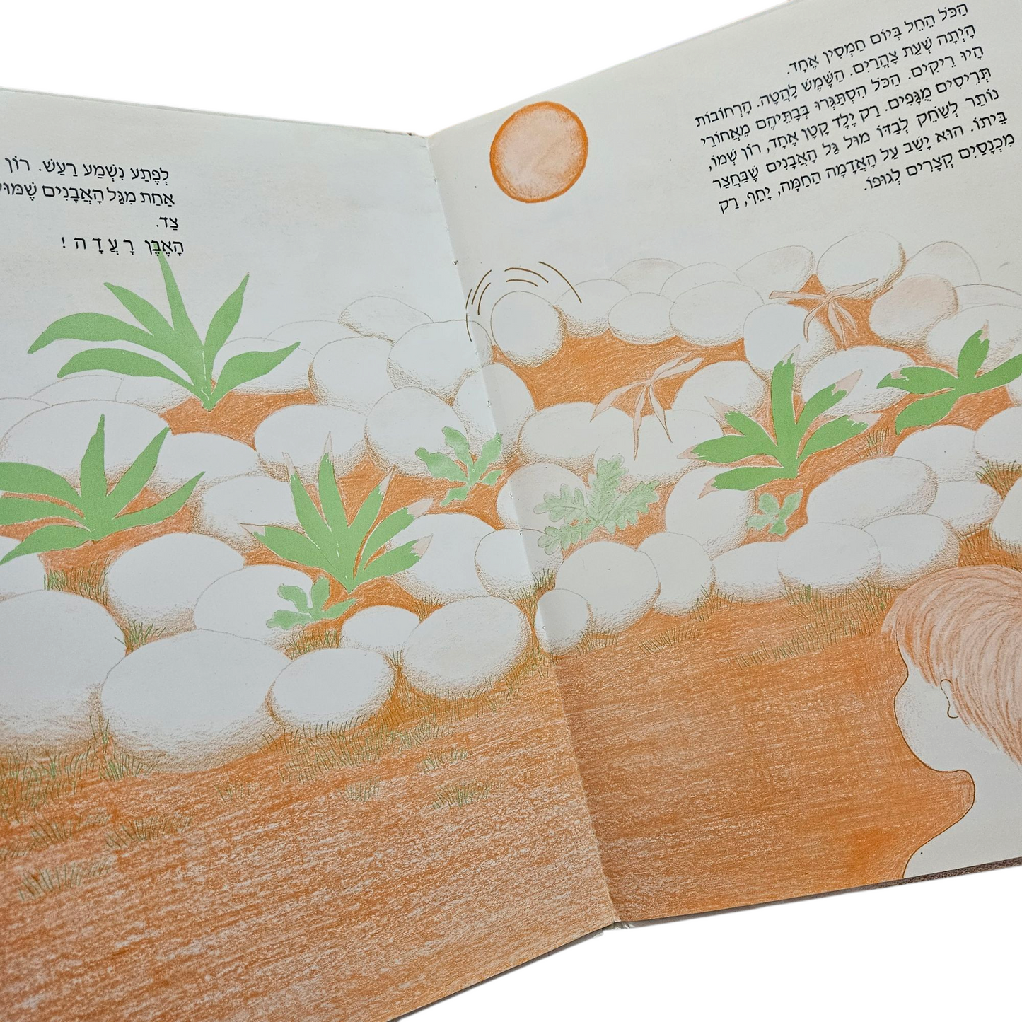 זואי, הדינוזאור האחרון - רונית דינצמן