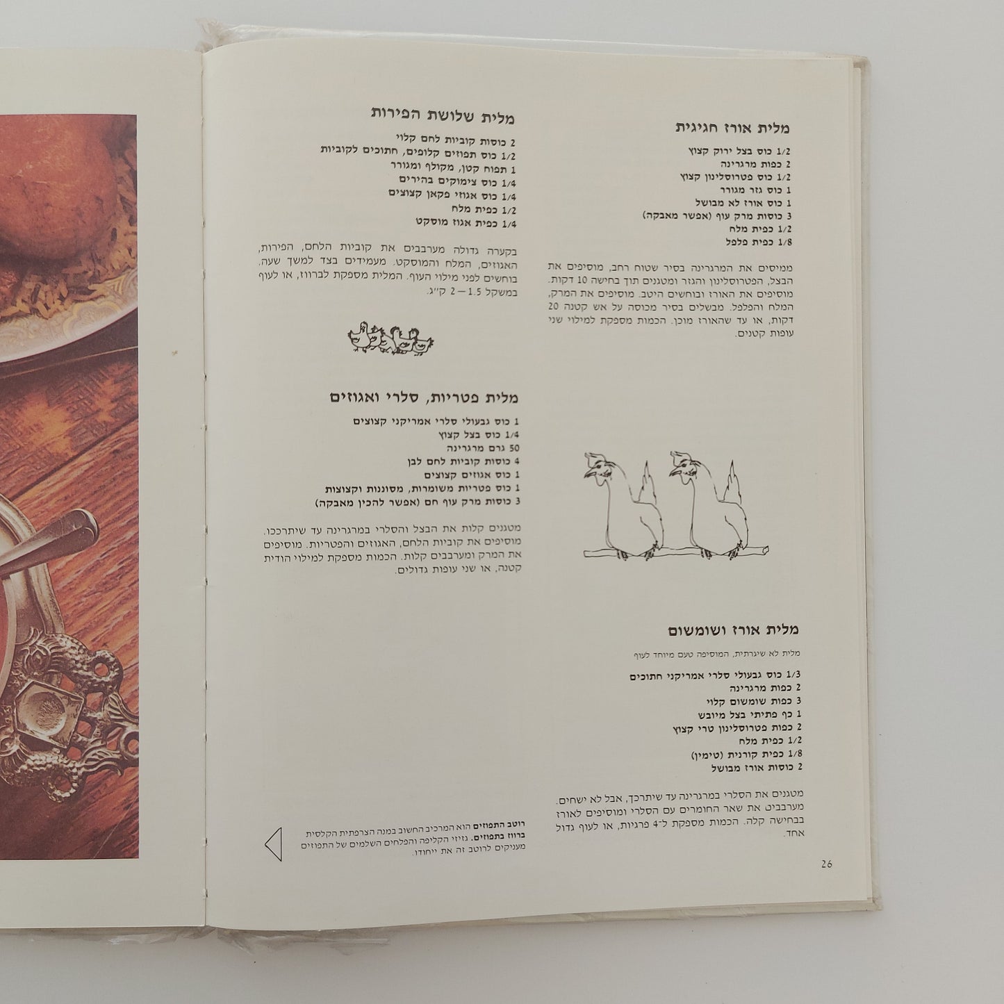 ספר העוף של בית וגן