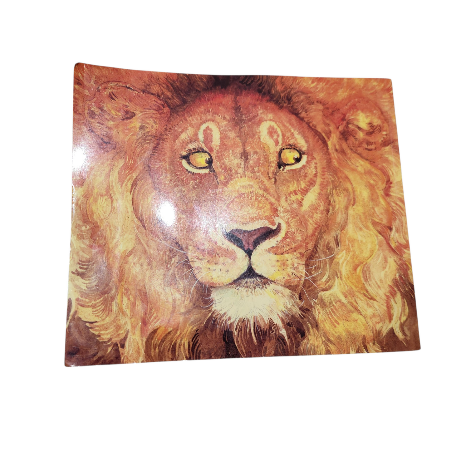 האריה והעכבר -ג'רי פינקני