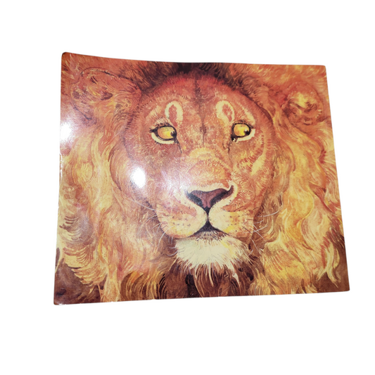 האריה והעכבר -ג'רי פינקני