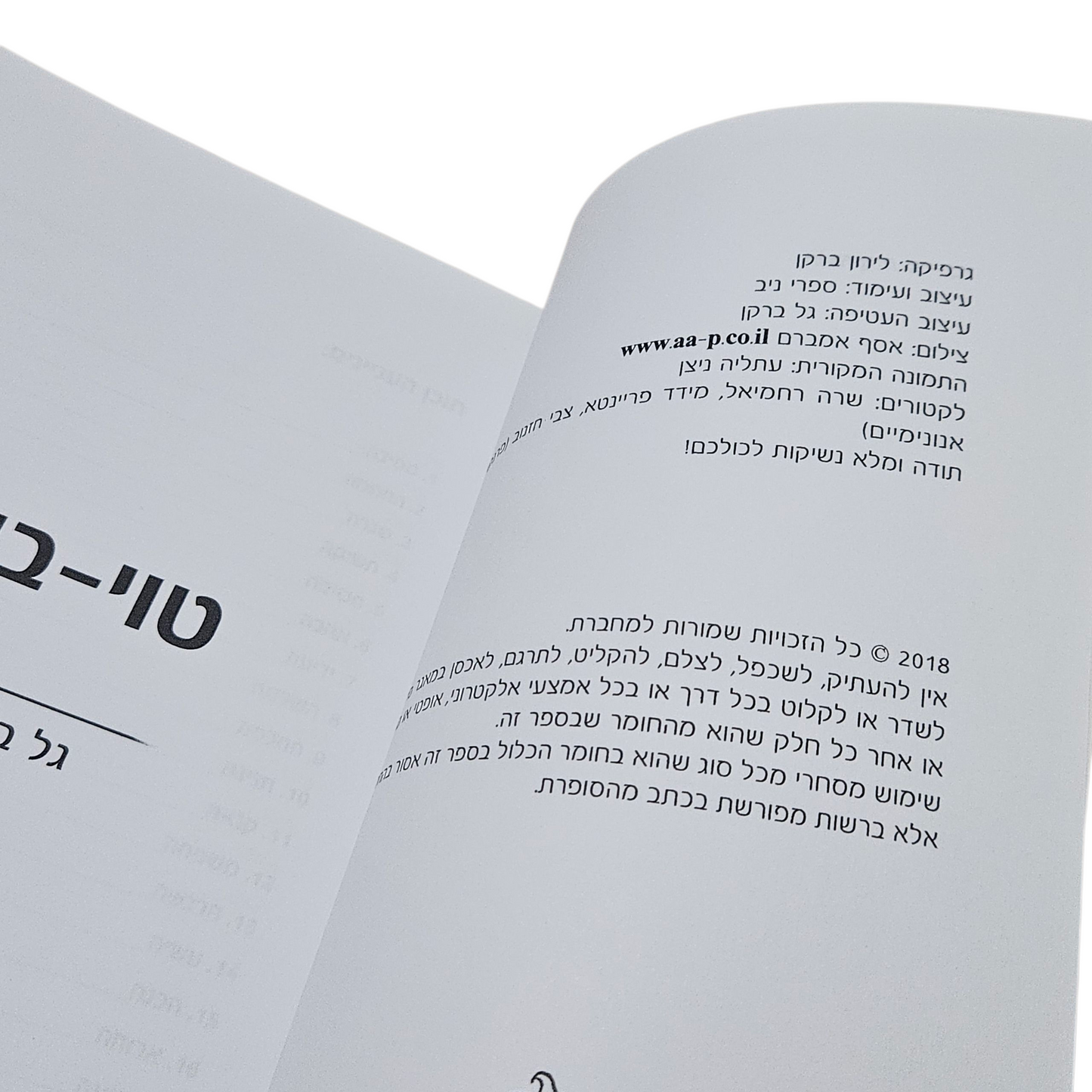 טוי בוי - גל ברקן