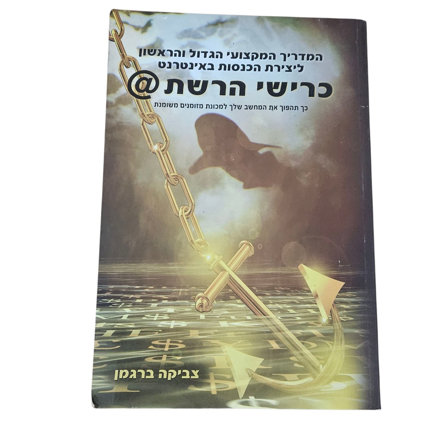 כרישי הרשת - צביקה ברגמן