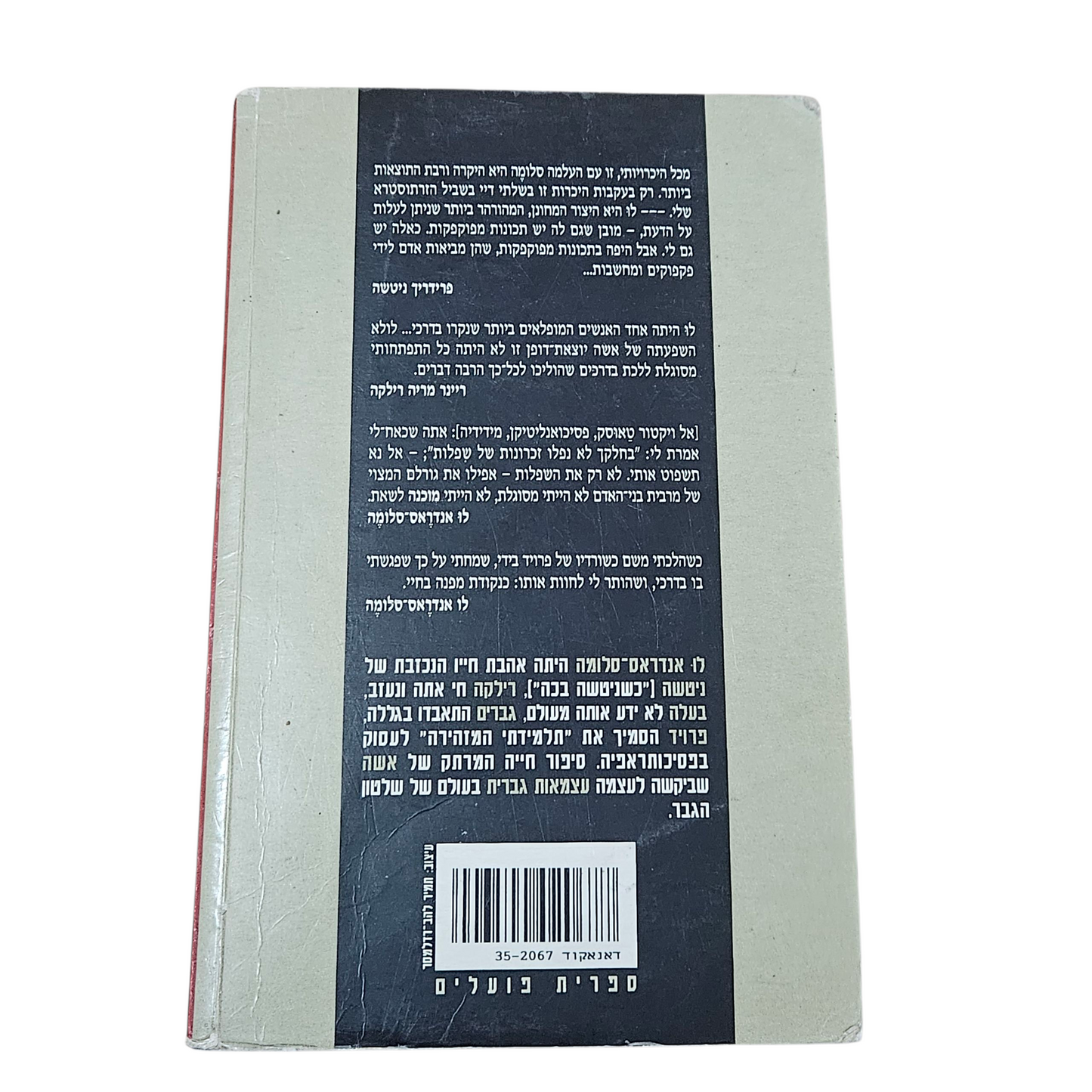 לו אנדראס - סלומה - האישה מן החלומות - היינץ פרדריק פטרס - ביוגרפיה