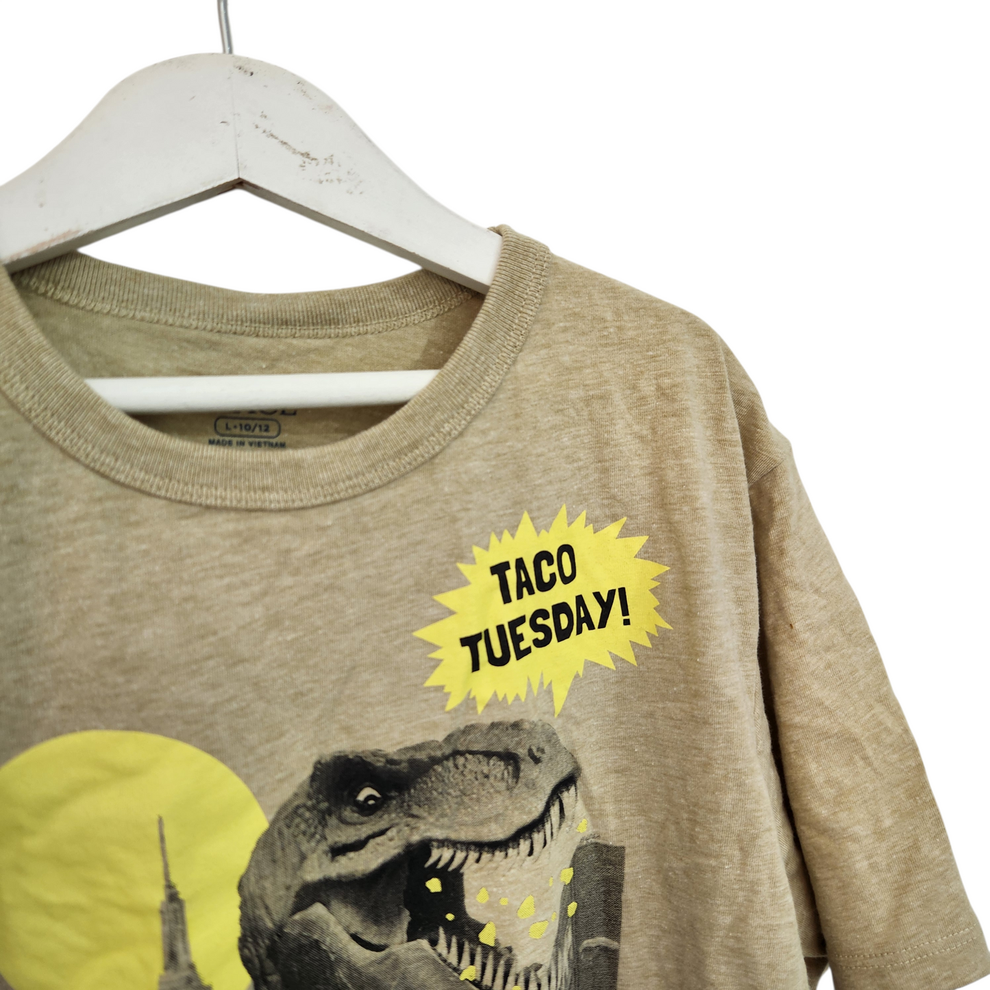 THE CHILDREN PLACE - חולצת טי שירט חומה עם הדפס דינוזאור | לילדים גיל 10-12