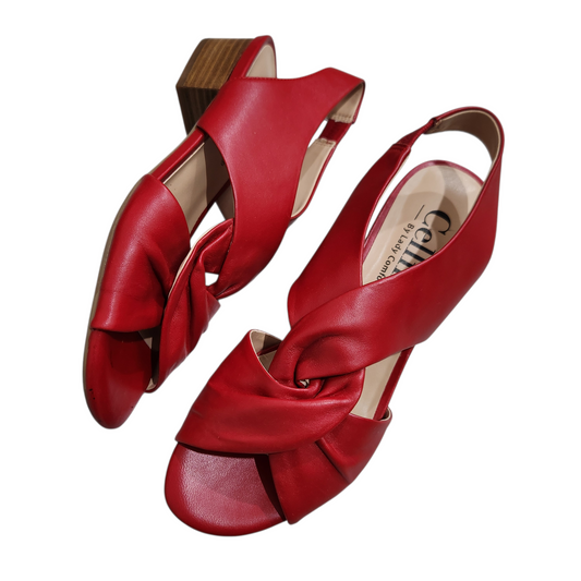 CELLINI by Lady Comfort נעליים מעוצבות לאישה מידה 37