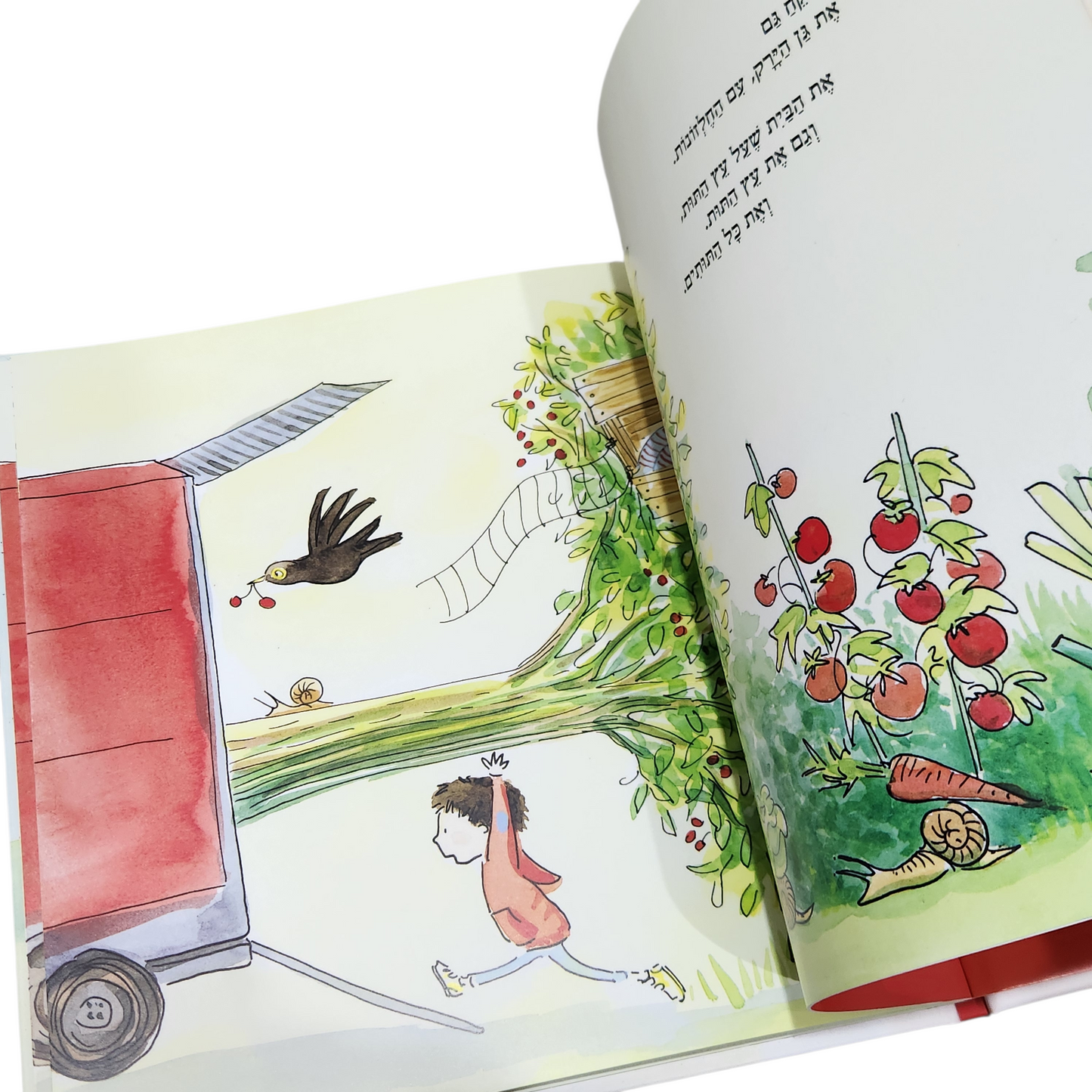 מעבר הדירה הגדול - ססיל אלמה רוז'ה | אורלי קסטקס