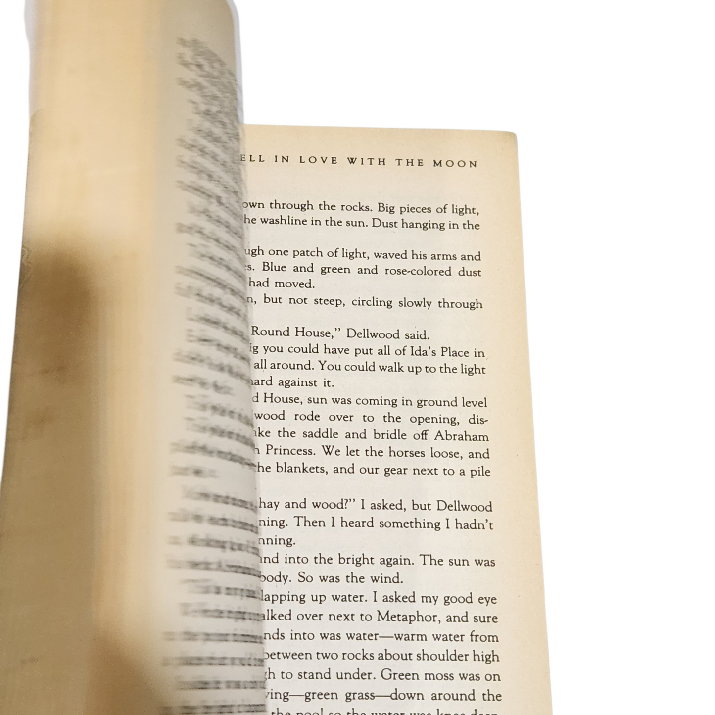 THE MAN WHO FELL IN LOVE WITH THE MOON - TOM SPANBAUER