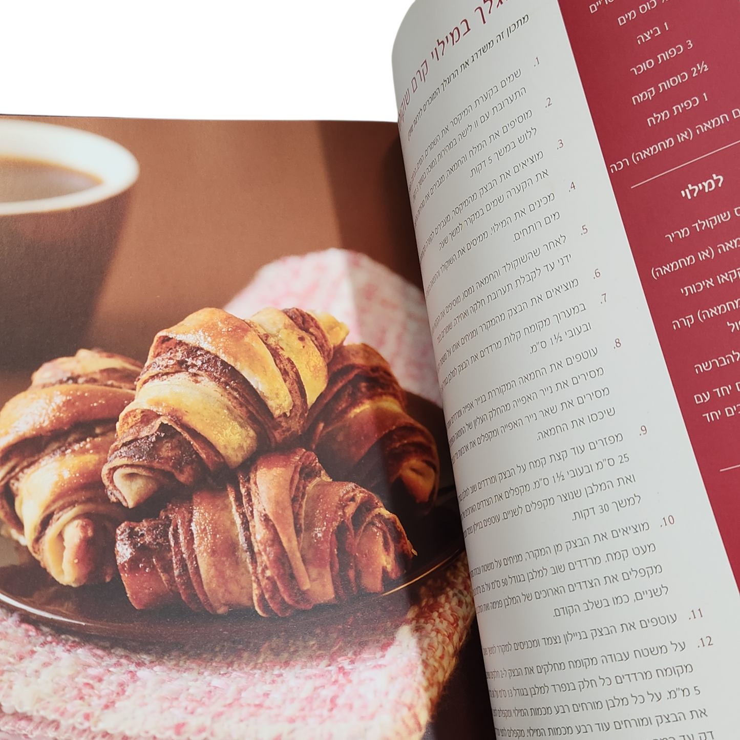 בישול עם שוקולד - אבנר לסקין