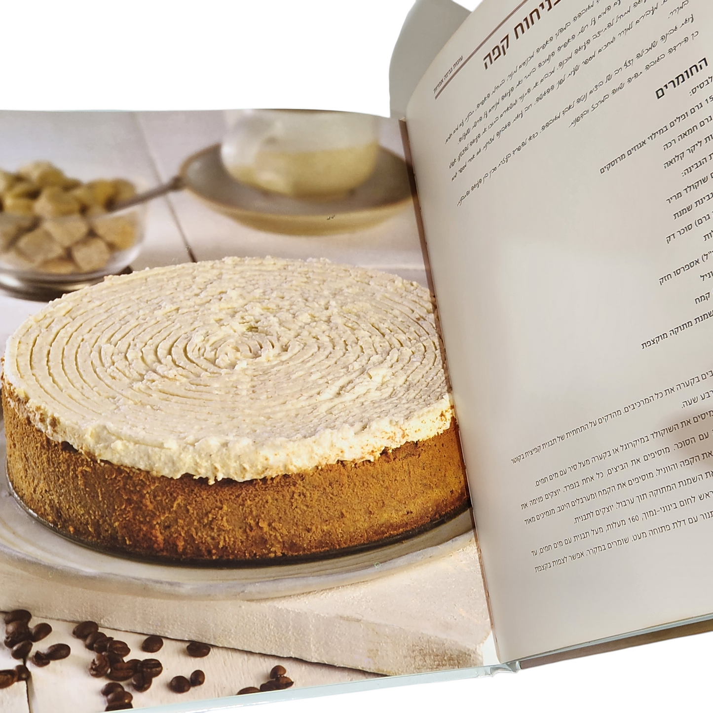 גבינה עוגות וקינוחים - אלינוער רבין