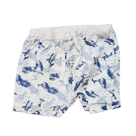 TERMINAL X | מכנסיים קצרים | לילדים גיל 3