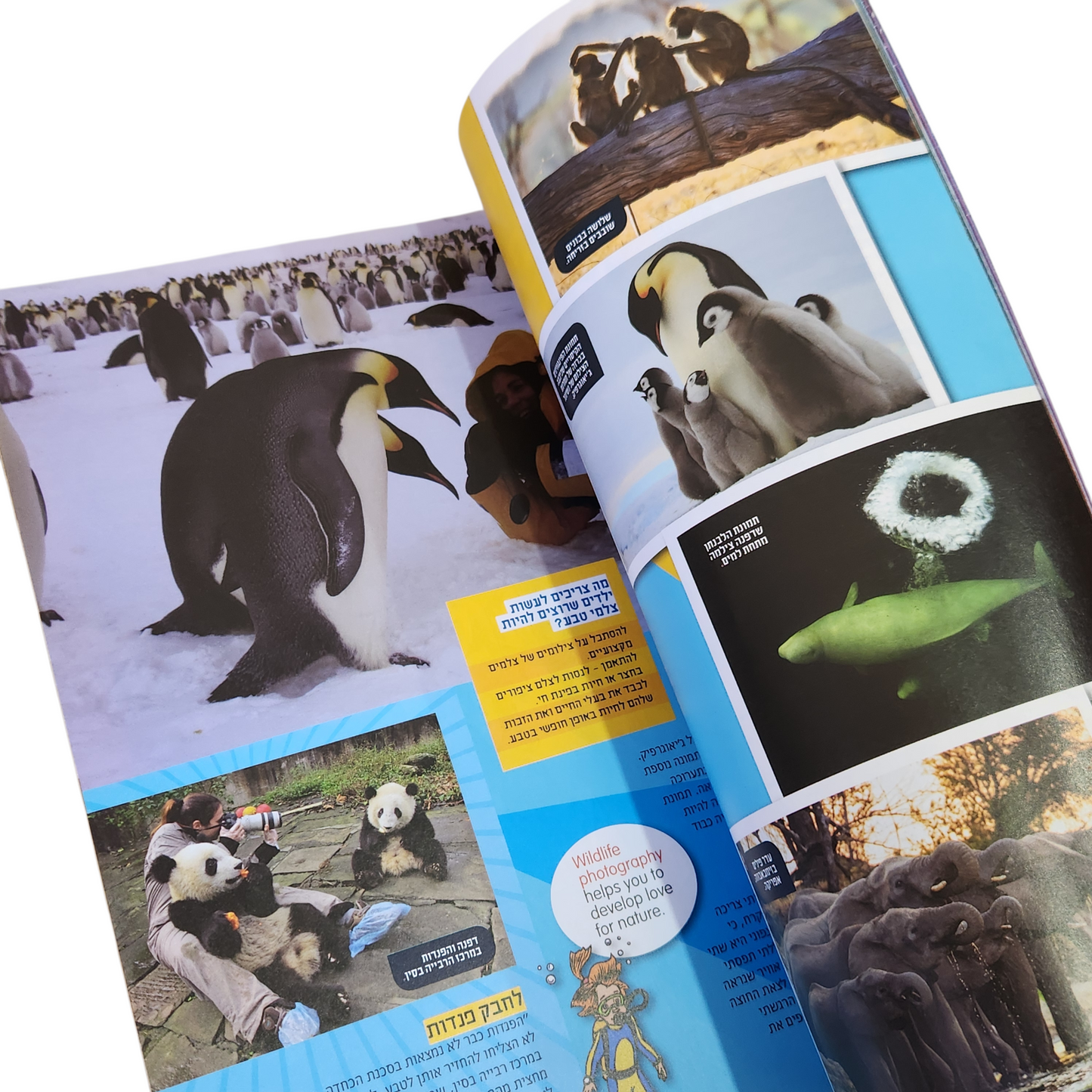 NATIONAL GEOGRAPHIC KIDS | דצמבר 2019