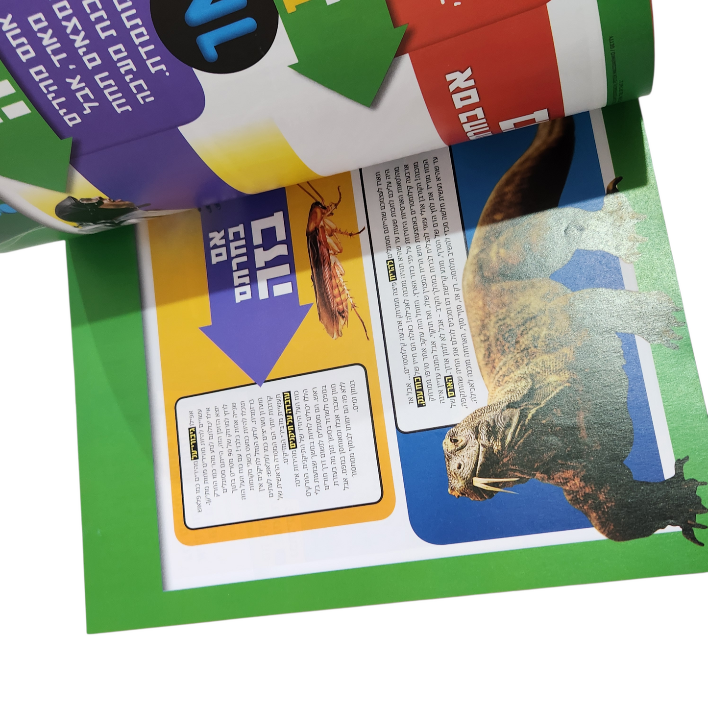 NATIONAL GEOGRAPHIC KIDS | מאי 2019